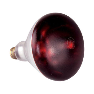 LAMP, HEAT - I/R RED 250W, 125V
