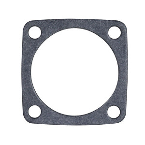 GASKET FOR TS SAFETY