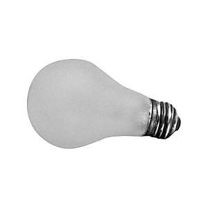 Light Bulb, 100 Watt